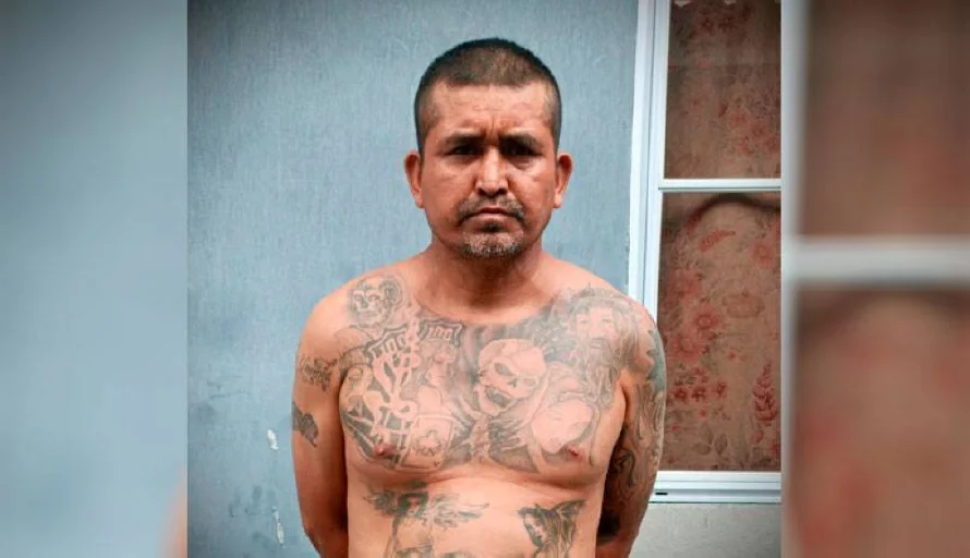 Detienen a "homeboy" de la MS-13 en el Distrito Italia