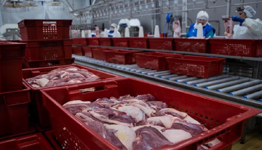 Exportaciones de la industria de alimentos y bebidas crecieron un 10 %