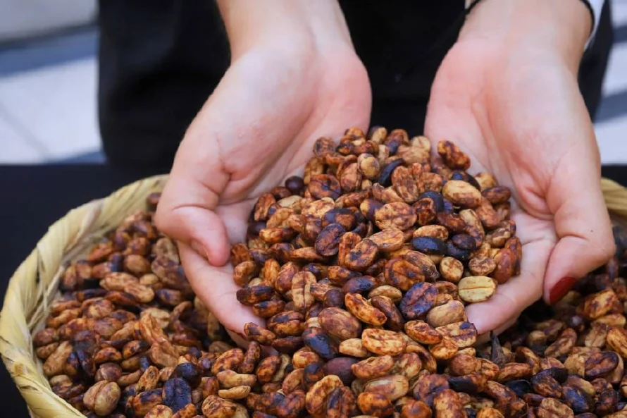 Producción de café salvadoreño se redujo 54,000 quintales a abril pasado