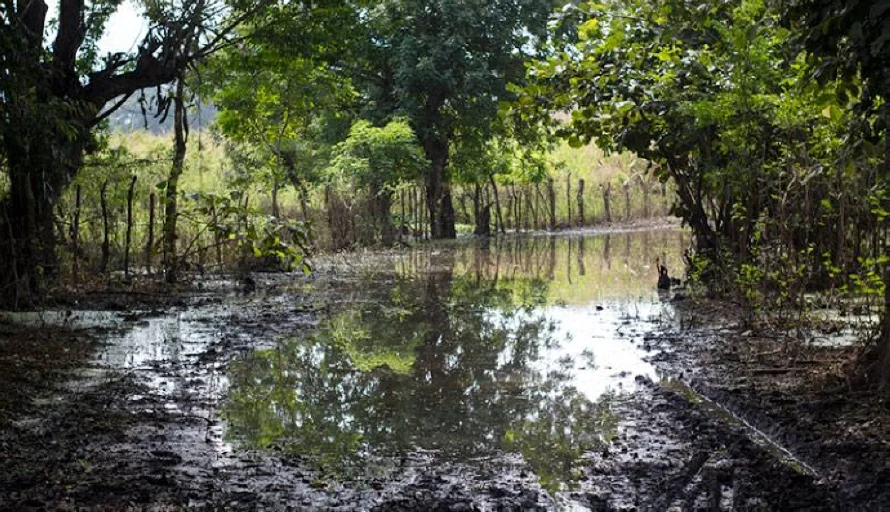 Advierten de posibles inundaciones en ríos Goascorán y Grande