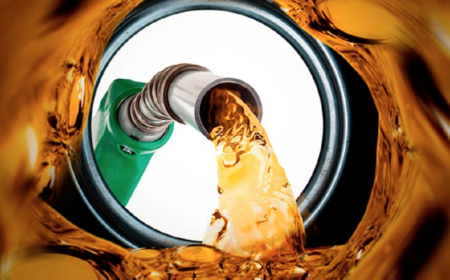 Expertos destacan a los biocombustibles como clave para descarbonización de las economías