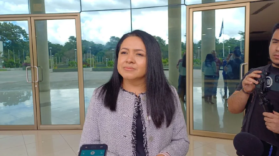¿Por qué Vamos votó contra el acuerdo militar de El Salvador y Turquía?