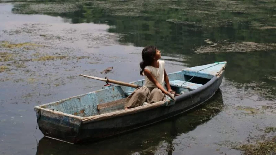 Ciclo de cine con obras salvadoreñas tendrá lugar en Museo Reina Sofía, en España