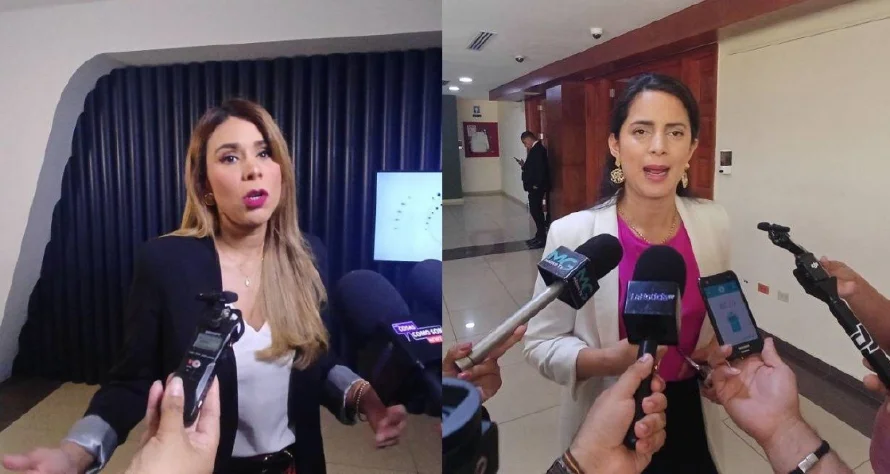 Vamos y Arena dudan sobre cómo se aplicará reforma a Ley contra delitos informáticos