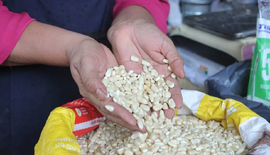 La libra de maíz y frijoles sube en el centro de San Salvador