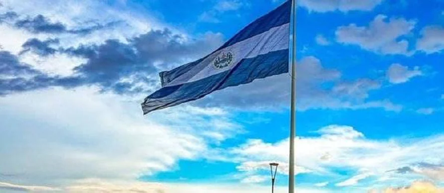El 52 % de las solicitudes de refugio de salvadoreños fueron aprobadas en 2024 según Acnur
