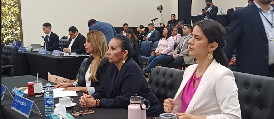 Oposición rechaza eliminación de programas específicos en nueva Ley de desarrollo social