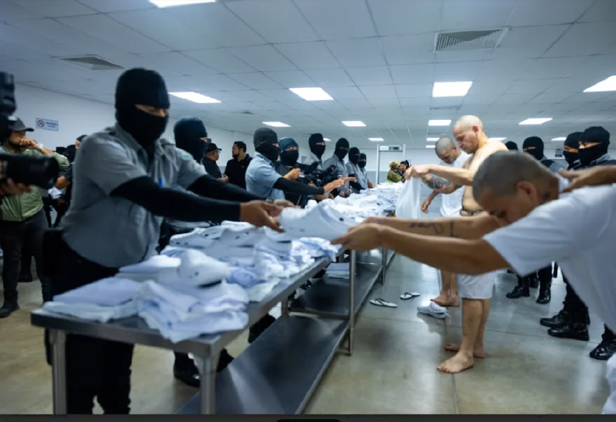 Expertos de la ONU envían carta para advertir posibles violaciones a derechos en deportaciones a El Salvador