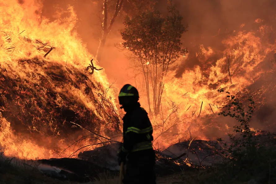 Múltiples incendios forestales en Portugal