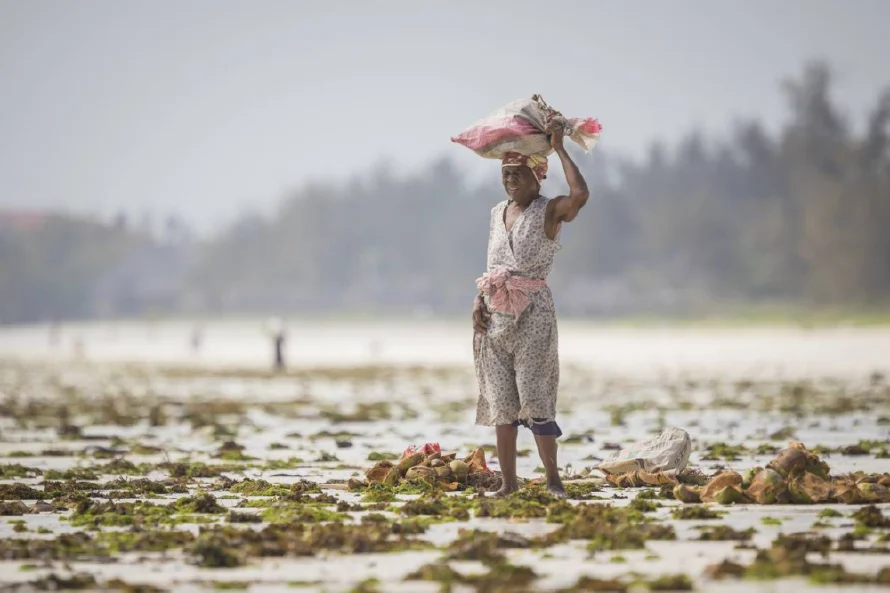 Los obispos de Latinoamérica, África y Asia urgen a la COP30 a cumplir Acuerdos de París