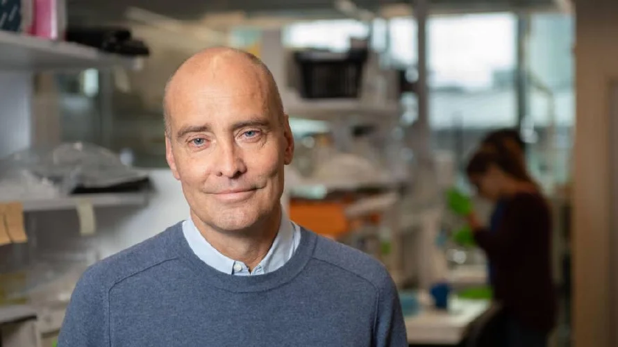 Un estudio aporta nuevas pruebas de que el cerebro forma neuronas nuevas toda la vida