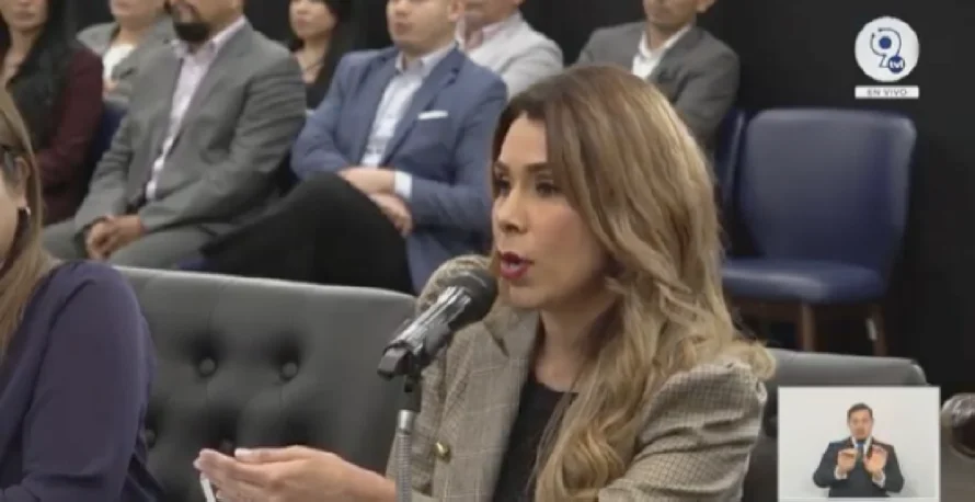 Diputados no agendan propuestas de Arena y Vamos sobre salud mental y megaescuelas