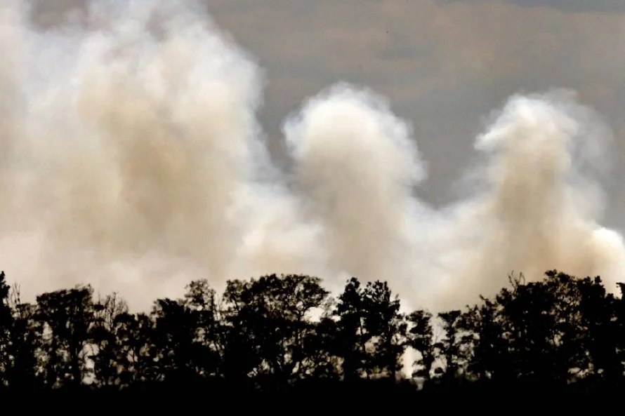 Cruz Roja alerta de que la actual ola de calor e incendios en Europa es "solo el comienzo"