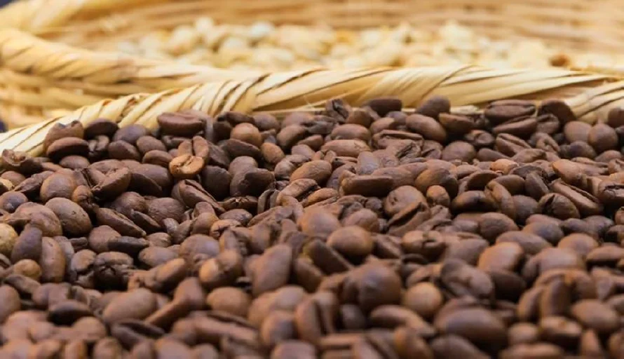 La libra de café cayó a su menor precio en ocho meses en junio pasado
