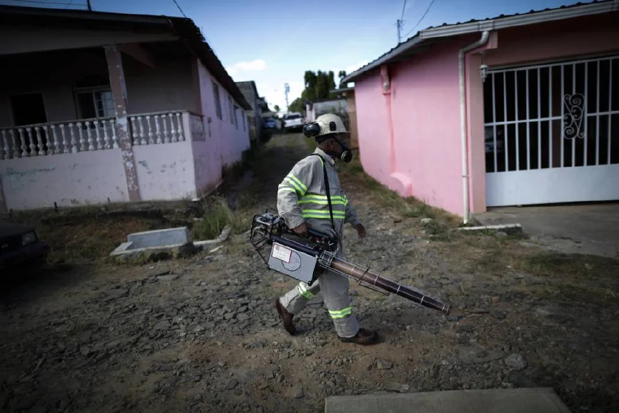 Panamá acumula 6,458 casos de dengue y diez muertes por la enfermedad hasta junio de 2025