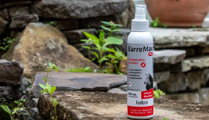 MAG lanza spray que mata gusano barrenador a un precio de $10