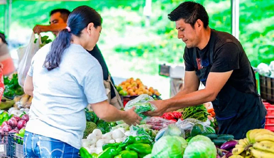 Gobierno reorientará $20 millones de Hacienda al MAG para logística de los agromercados