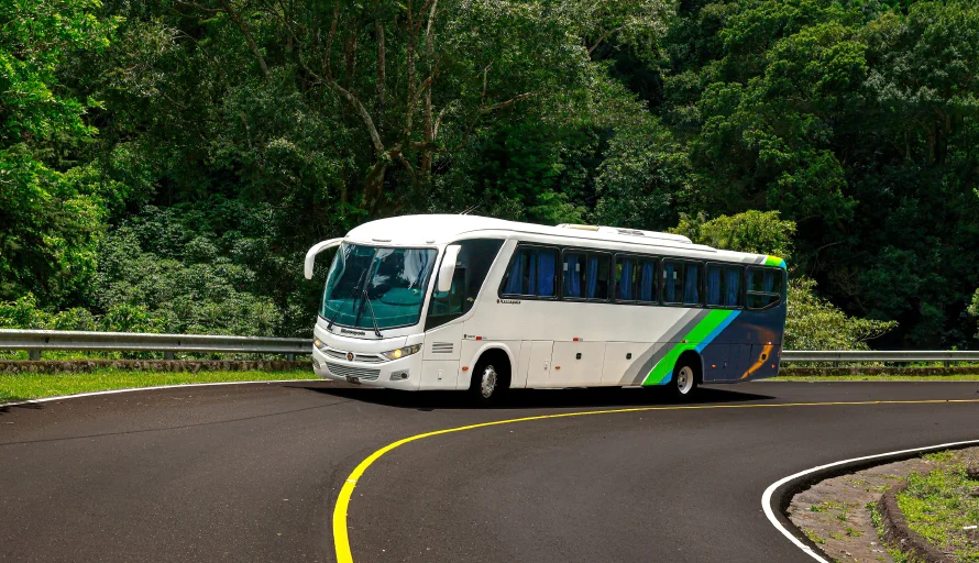 Rutas y precios de los Buses Alegres para Semana Santa 2026