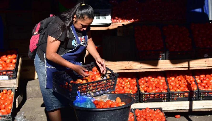 Canasta básica alimentaria se encareció $4 en junio, y cumple tercer mes consecutivo al alza