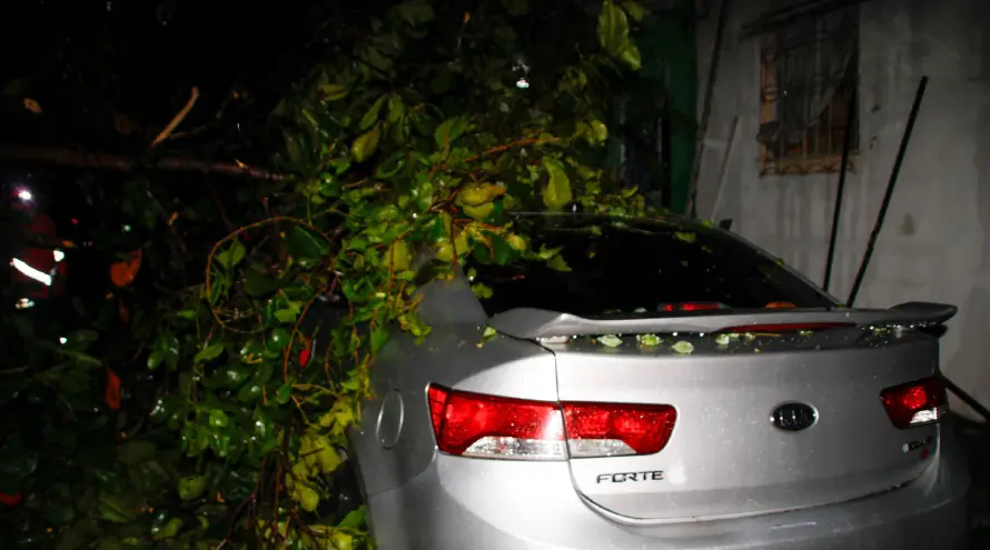 Casas y carros dañados en Soyapango tras árboles caídos por lluvias del jueves 