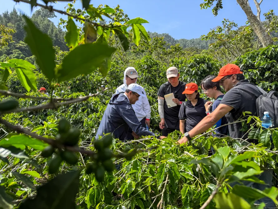 Expertos de Europa y Asia recorren una finca salvadoreña para conocer avances en mejora genética y adaptación climática