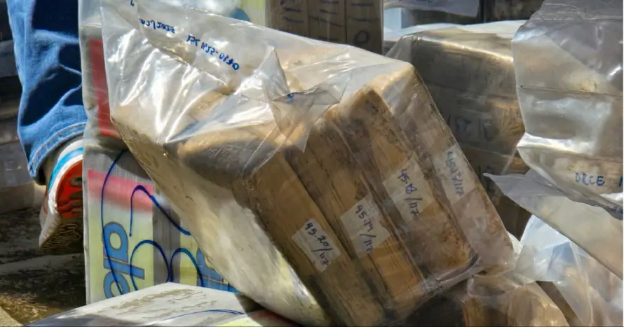 Destruyen droga valorada en $158 millones que fue incautada en junio