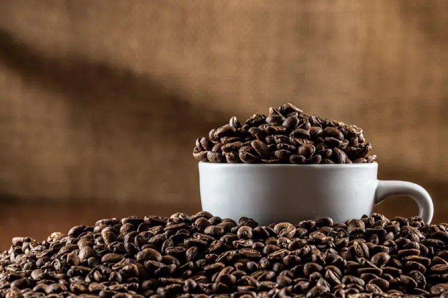 El Salvador exportó a un precio récord de $320 el quintal de café durante junio
