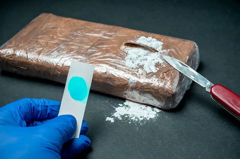 Ecuador incauta 1.7 toneladas de cocaína ocultas en un contenedor que iba hacia Dinamarca