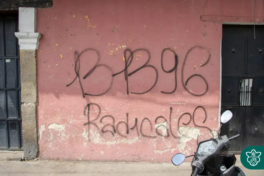 Barra Brava 96 expulsa a dos integrantes por pintar grafitis en Antigua Guatemala