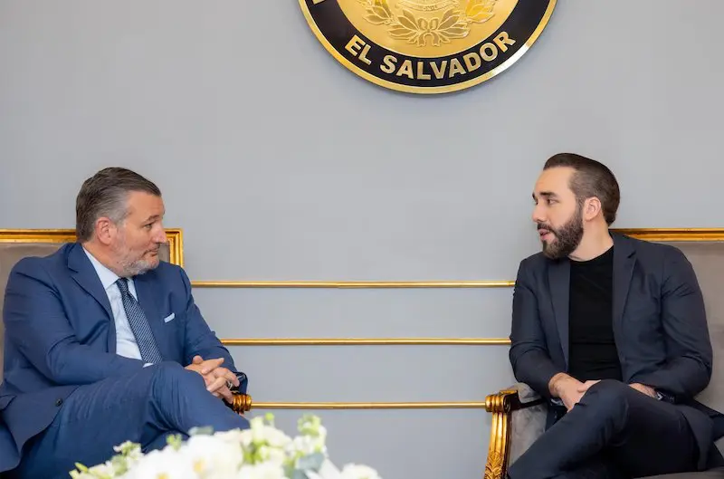 Senador de EEUU y Bukele discuten sobre las "tácticas antiterroristas” aplicadas en El Salvador