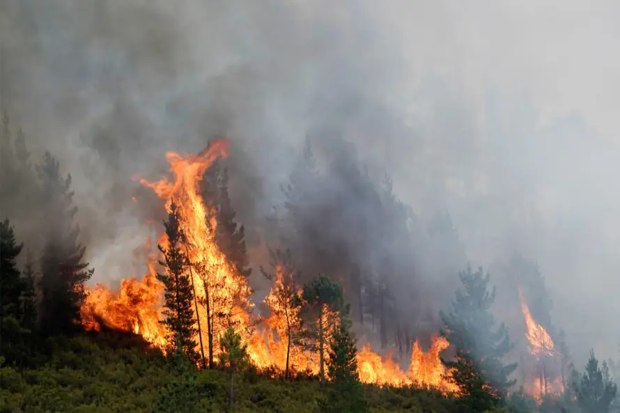 Cambio climático duplica riesgo de incendios forestales extremos