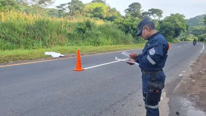 Dos hombres murieron atropellados y el responsable huyó del lugar