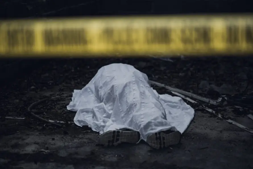 Gobierno asegura que ya suman 1,000 días sin homicidios durante administración Bukele
