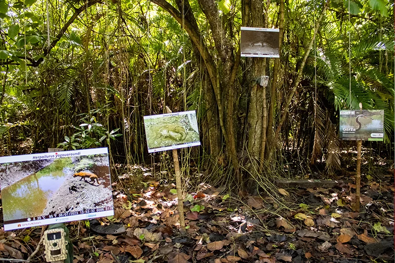 Donde el manglar respira, ellas lo protegen: el modelo de la Barra de Santiago que ahora florece en Centroamérica