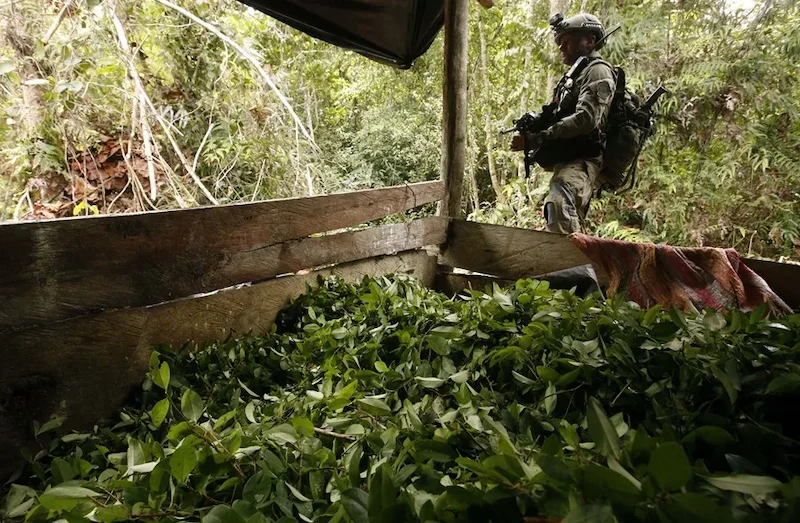EEUU elimina a Colombia de lista de países que combaten al narcotráfico