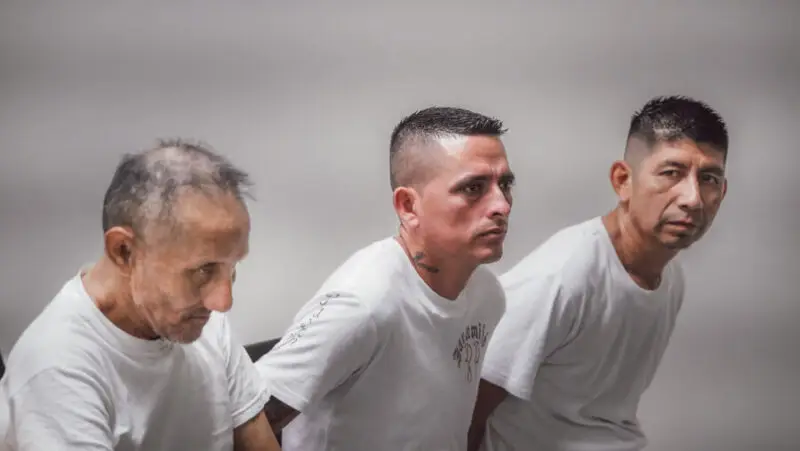 Condenan a 15 años de cárcel a tres ecuatorianos por tráfico ilícito de drogas valorada en más de $19.1 millones