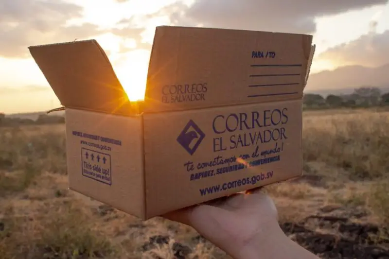 Correos de El Salvador tramitó más de 1.2 millones de correspondencias en el período 2024-2025