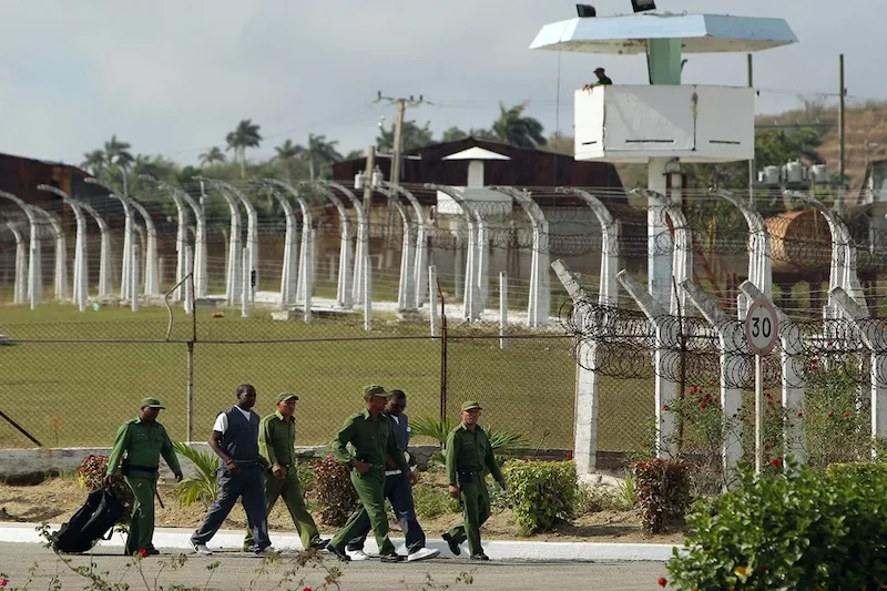 Unos 60 mil presos sufren trabajos forzados en cárceles cubanas, denuncia ONG