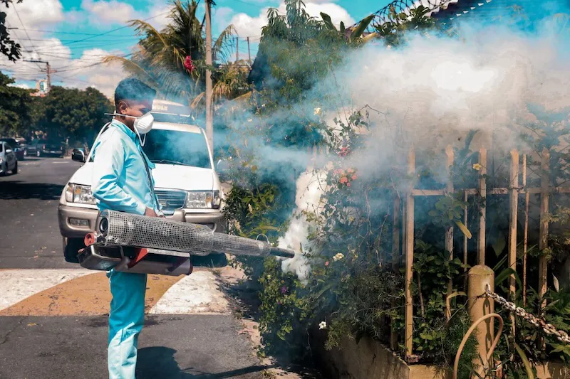 Casos de dengue confirmados aumentan a 158 hasta primeras semanas de septiembre