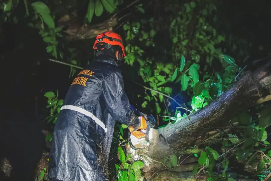 Lluvias del domingo provocaron caída de árboles y deja personas atrapadas en vehículos