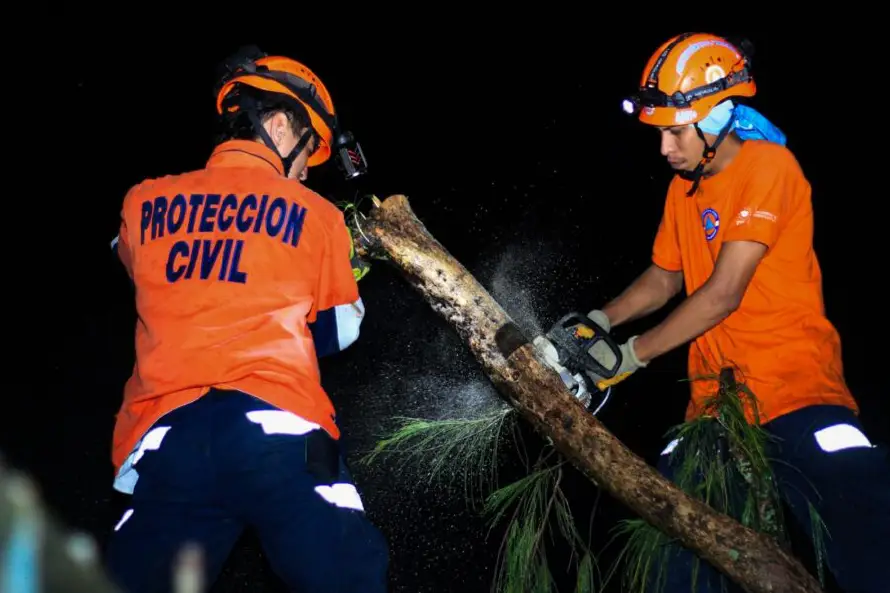 Equipos de socorro retiran tres árboles caídos por lluvias del miércoles en varios puntos del país