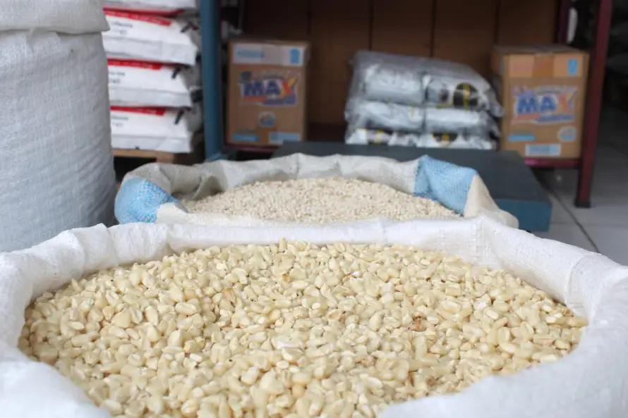 El Salvador importa un volumen récord de maíz blanco y amarillo a julio
