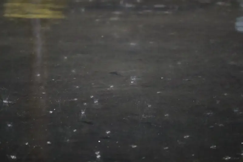 ¿Cuánta fue la lluvia que cayó el sábado en la noche? Esto dice el Marn
