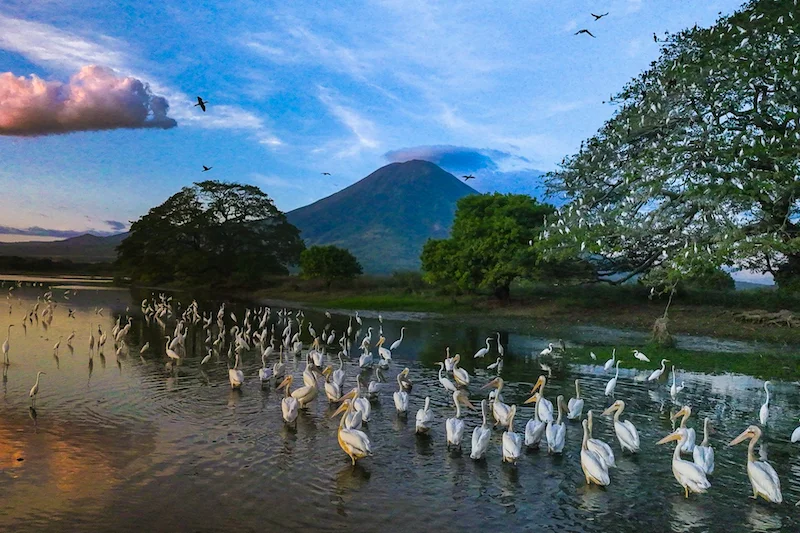 Medio Ambiente advierte alta probabilidad de anegamientos en laguna El Jocotal y cuenca del río Grande de San Miguel
