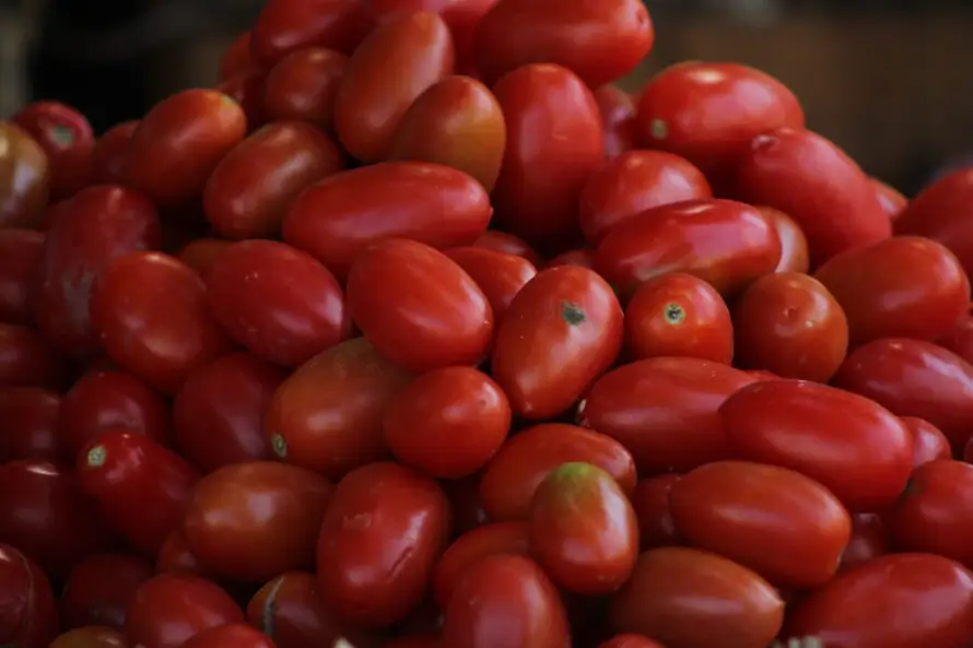 Los rábanos, maicillo y tomates se encarecieron un 78 % en siete meses, confirma el gobierno