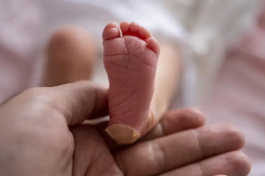 Solo 2 % de los tamizajes neonatales dan positivo a anomalías metabólicas, cardíacas, auditivas y de cadera
