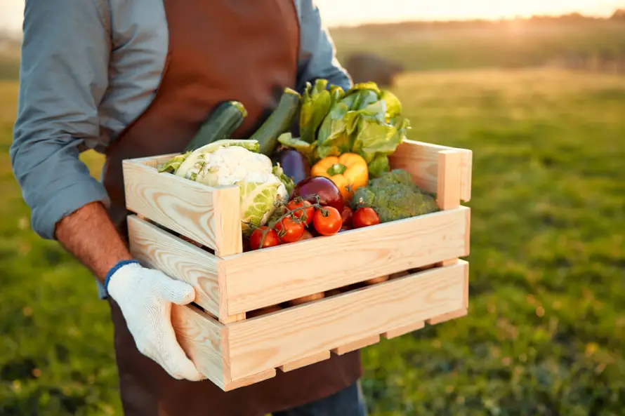El 33% de familias latinas en EEUU tuvieron problemas para alimentar a sus hijos en verano