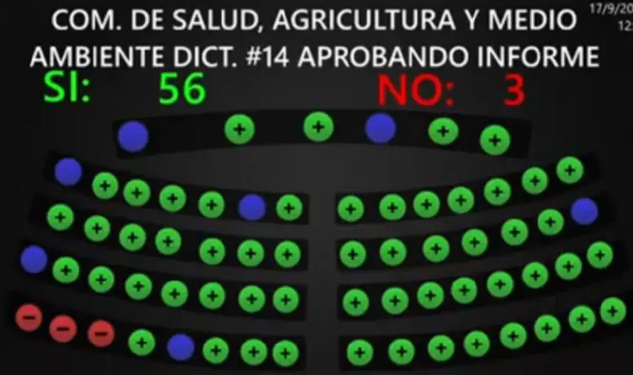 Diputados aprueban el informe de labores de Salud: Vamos reclama presencia de Alabi para hacerle estas preguntas