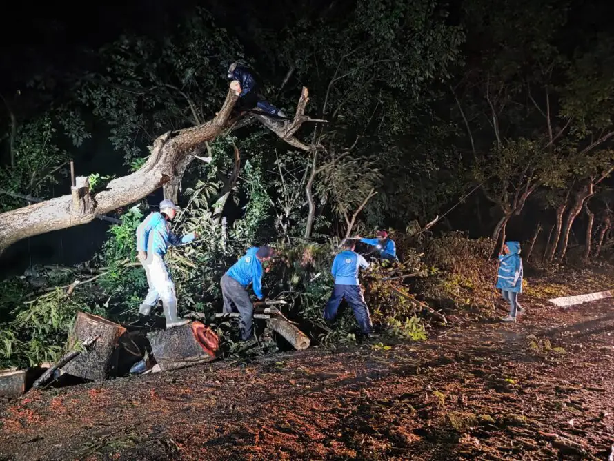 Inundaciones, derrumbes y árboles caídos dejaron las intensas lluvias del viernes