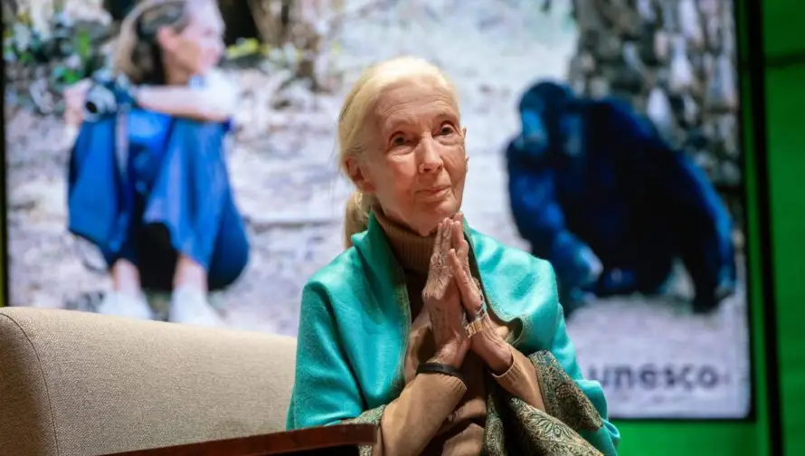 Netflix publica entrevista de la recién fallecida primatóloga Jane Goodall